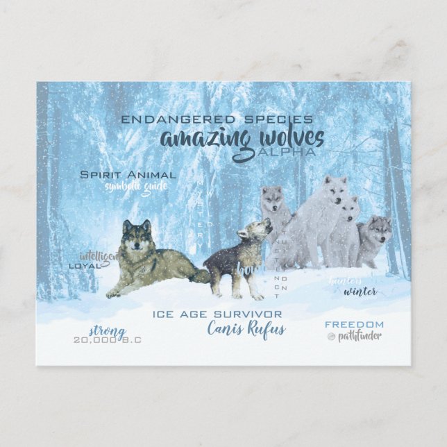 Amazing Wolves Typography | Personalized Postcard (Front)