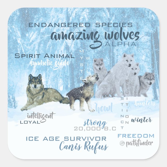 Amazing Wolves Typography | Personalized Square Sticker (Front)