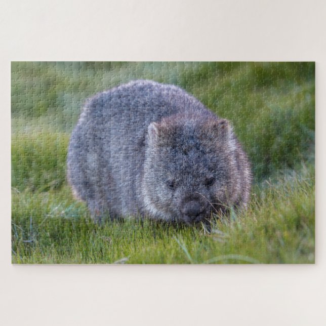Amazing Wombat in the Grass Australia, 1014 pieces Jigsaw Puzzle (Horizontal)