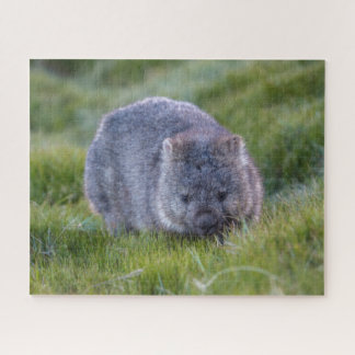 Amazing Wombat in the Grass Australia, 520 pieces Jigsaw Puzzle