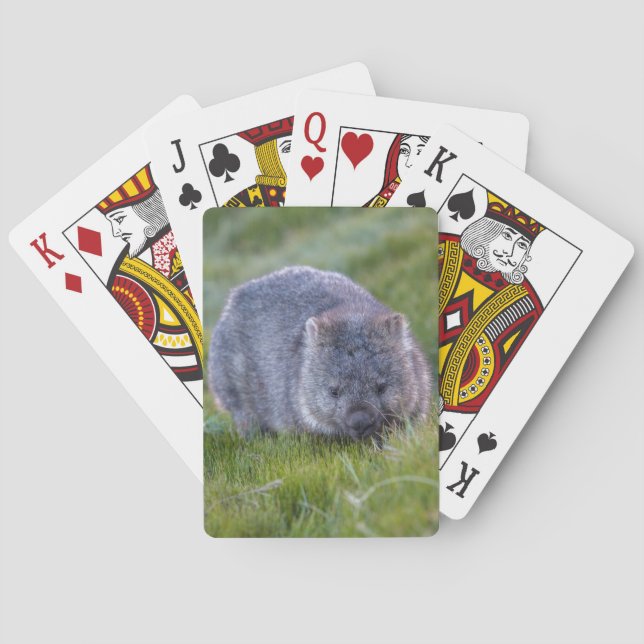 Amazing Wombat in the Grass Australia, Green Playing Cards (Back)