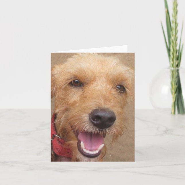 Amazon Humane Society "Pedro" Note Card (Front)