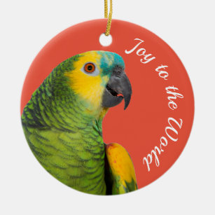 Amazon Parrot Ceramic Ornament