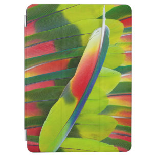 Amazon Parrot Feather Still Life iPad Air Cover