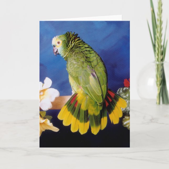 Amazon Parrot Greeting Card (Front)