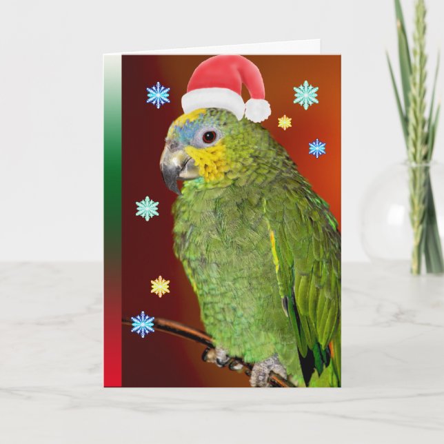 Amazon Parrot Santa Claus Holiday Card (Front)