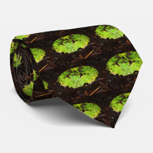 Amazonian horned frog tie