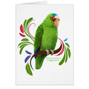 Amazonie à frontières blanches