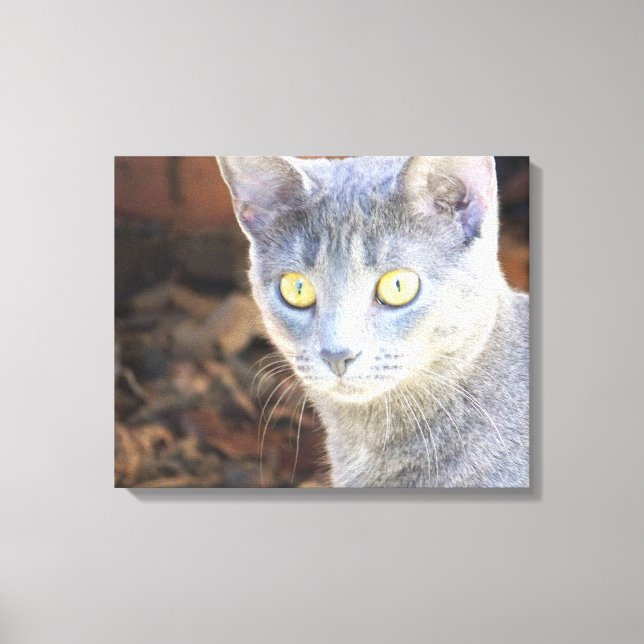 Amber eyes 20"x16" canvas print (Front)