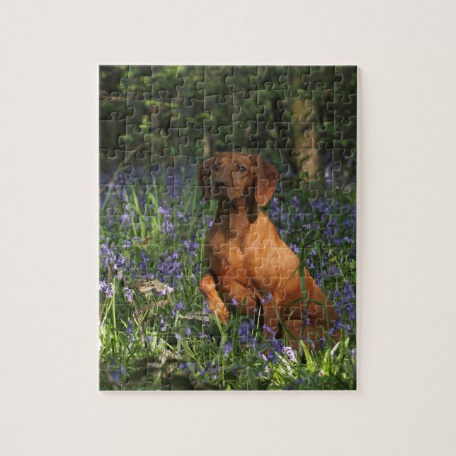 Amber Jigsaw Puzzle (Vertical)