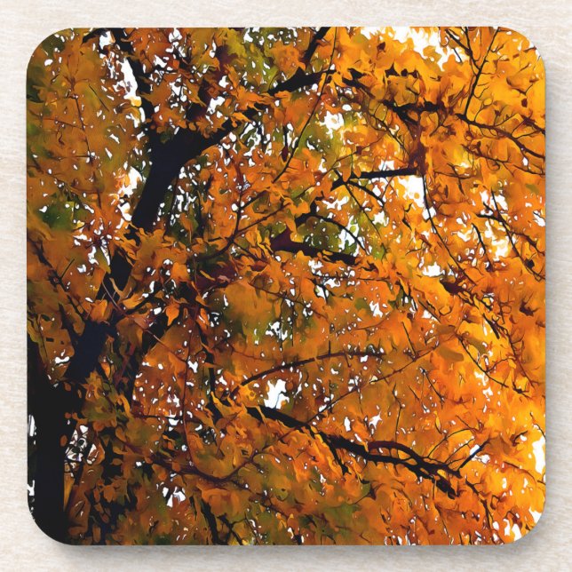 Amber Leaves of Fall Coaster (Front)