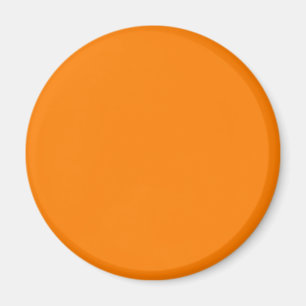 Amber (SAE/ECE) (solid colour) Magnet