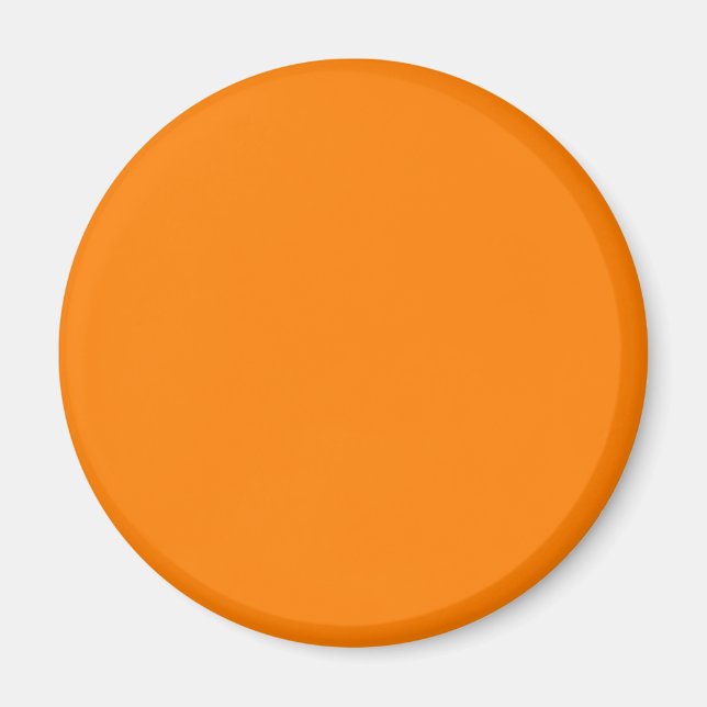 Amber (SAE/ECE) (solid colour)  Magnet (Front)