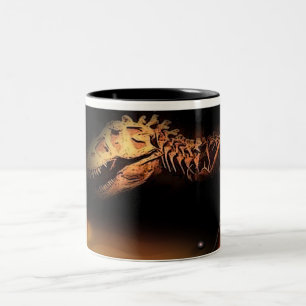 AMBER SHORES Two-Tone COFFEE MUG