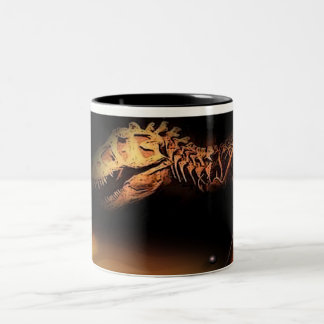 AMBER SHORES Two-Tone COFFEE MUG