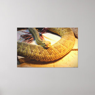 Amber Solitude Canvas Print