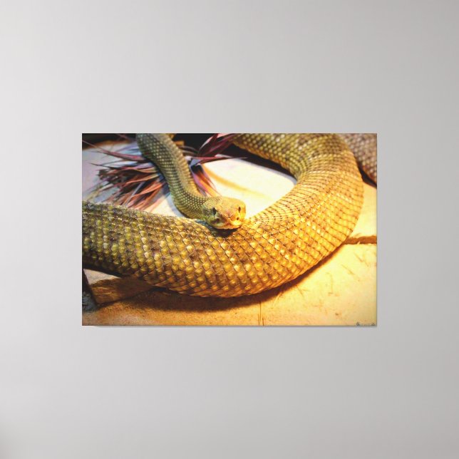 Amber Solitude Canvas Print (Front)