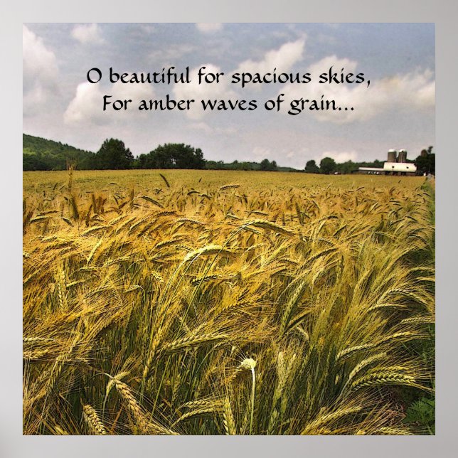Amber Waves of Grain Poster (Front)