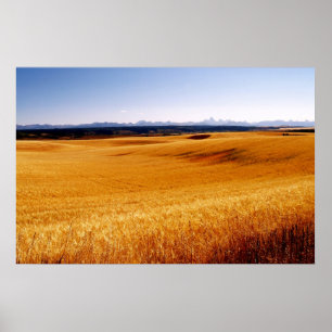 Amber Waves print