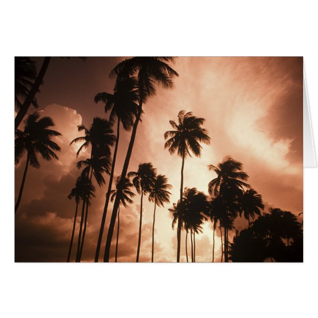 Ambergris Caye, Belize, Central America. 2 (Front Horizontal)