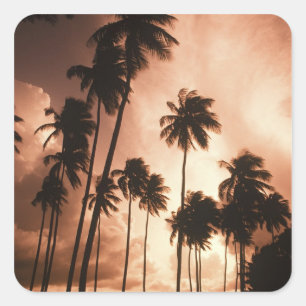 Ambergris Caye, Belize, Central America. 2 Square Sticker