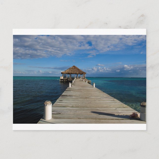 Ambergris Caye Belize Postcard (Front)