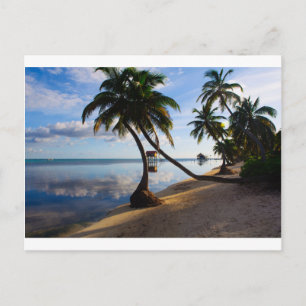 Ambergris Caye Belize Postcard