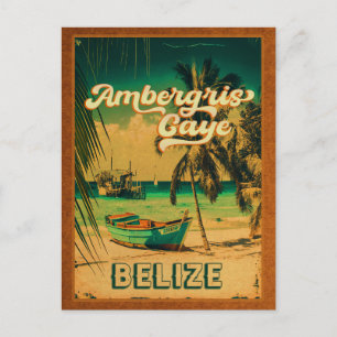 Ambergris Caye Belize Vintage Palm Trees Souvenirs Postcard