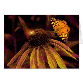 Ambre