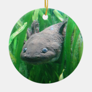 Ambystoma andersoni ceramic ornament