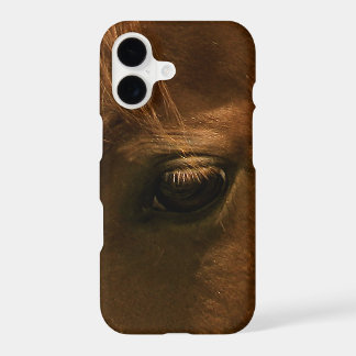Âme de cheval Œil