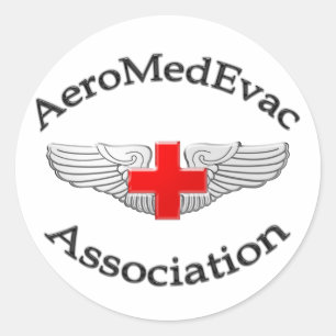 AMEA Logo 2009 version Classic Round Sticker