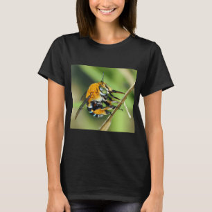 Amegilla cingulata T-Shirt