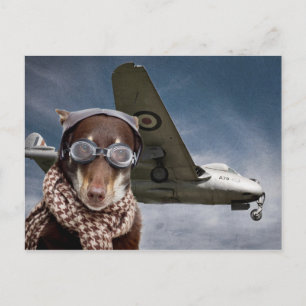 Amelia Earhart Postcard