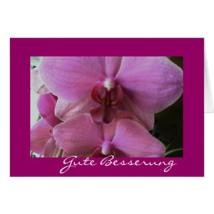 Amélioration de l'orchidée