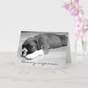Améliorez-vous bientôt Boxer chiot carte de voeux