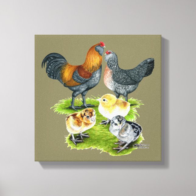 Ameraucana Chicken Family Canvas Print (Front)