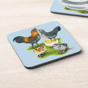 Ameraucana Chicken Family Coaster
