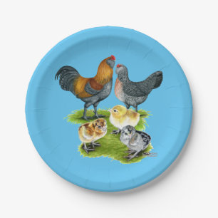 Ameraucana Chicken Family Paper Plate