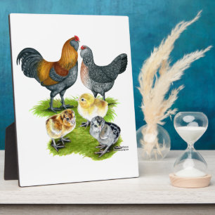 Ameraucana Chicken Family Plaque