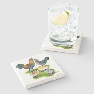 Ameraucana Chicken Family Stone Coaster