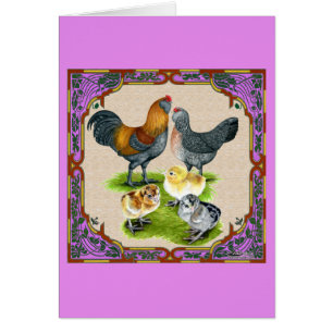 Ameraucana Family Framed