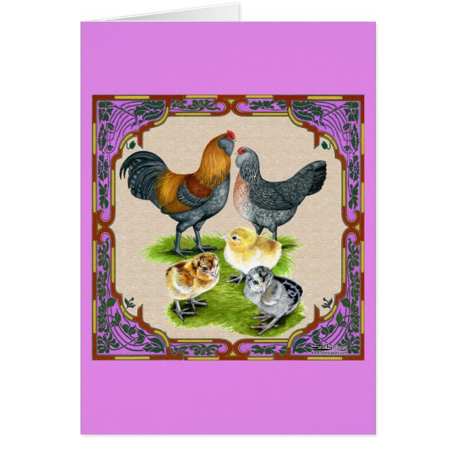 Ameraucana Family Framed (Front)