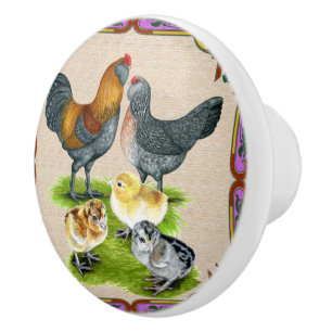 Ameraucana Family Framed Ceramic Knob