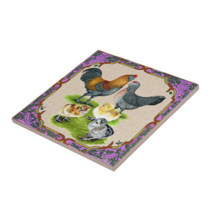 Ameraucana Family Framed Tile