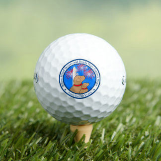 America 250 Special Edition DC  Golf Balls