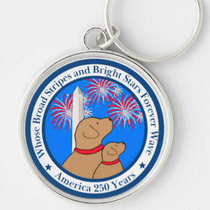 America 250 Special Edition DC  Keychain