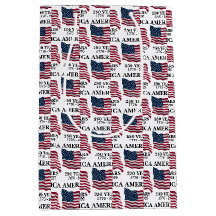 America 250 Years Flag