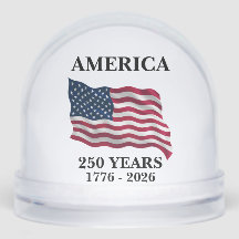 America 250 Years Flag