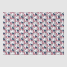 America 250 Years Flag